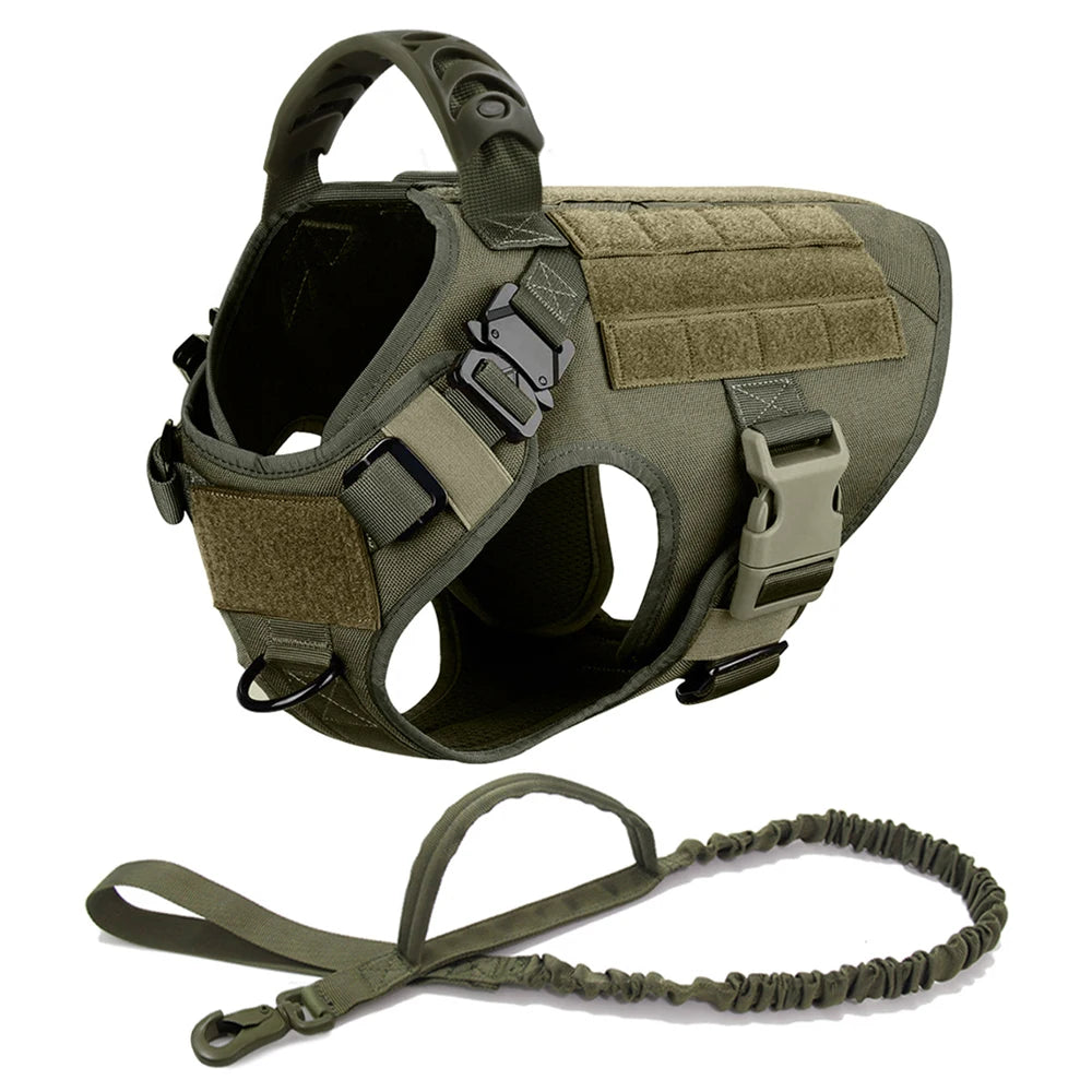 Petravelcn Dog Harness and Leash Set for Training and Walking
