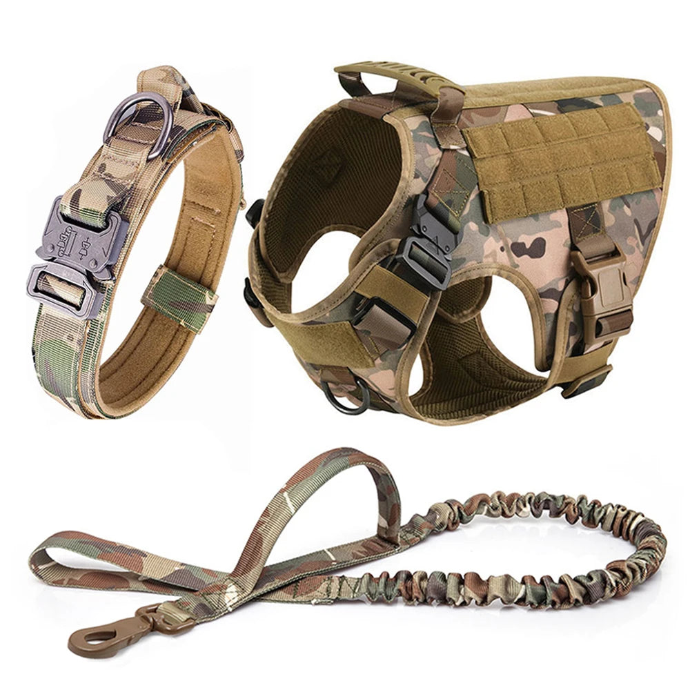 Petravelcn Dog Harness and Leash Set for Training and Walking