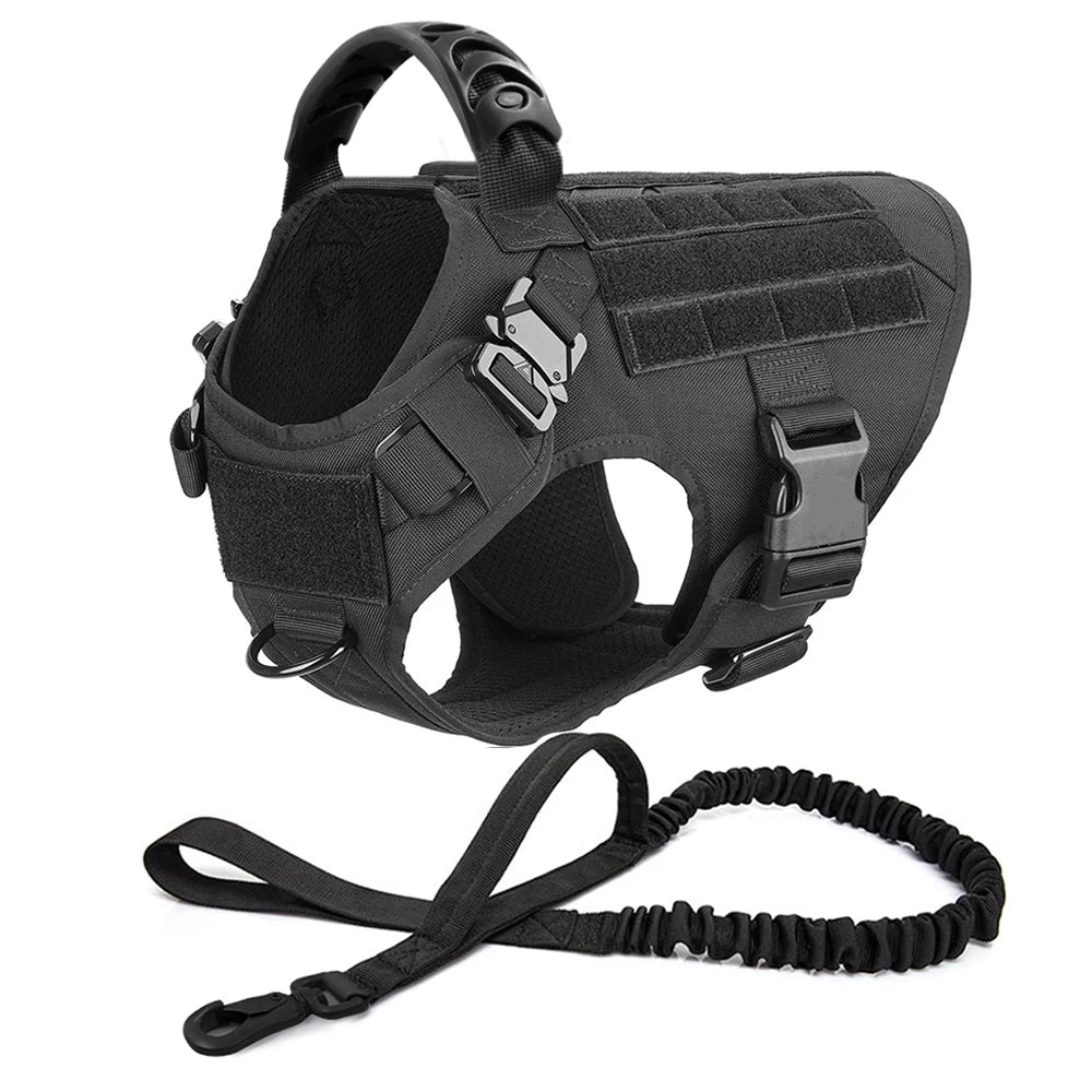 Petravelcn Dog Harness and Leash Set for Training and Walking