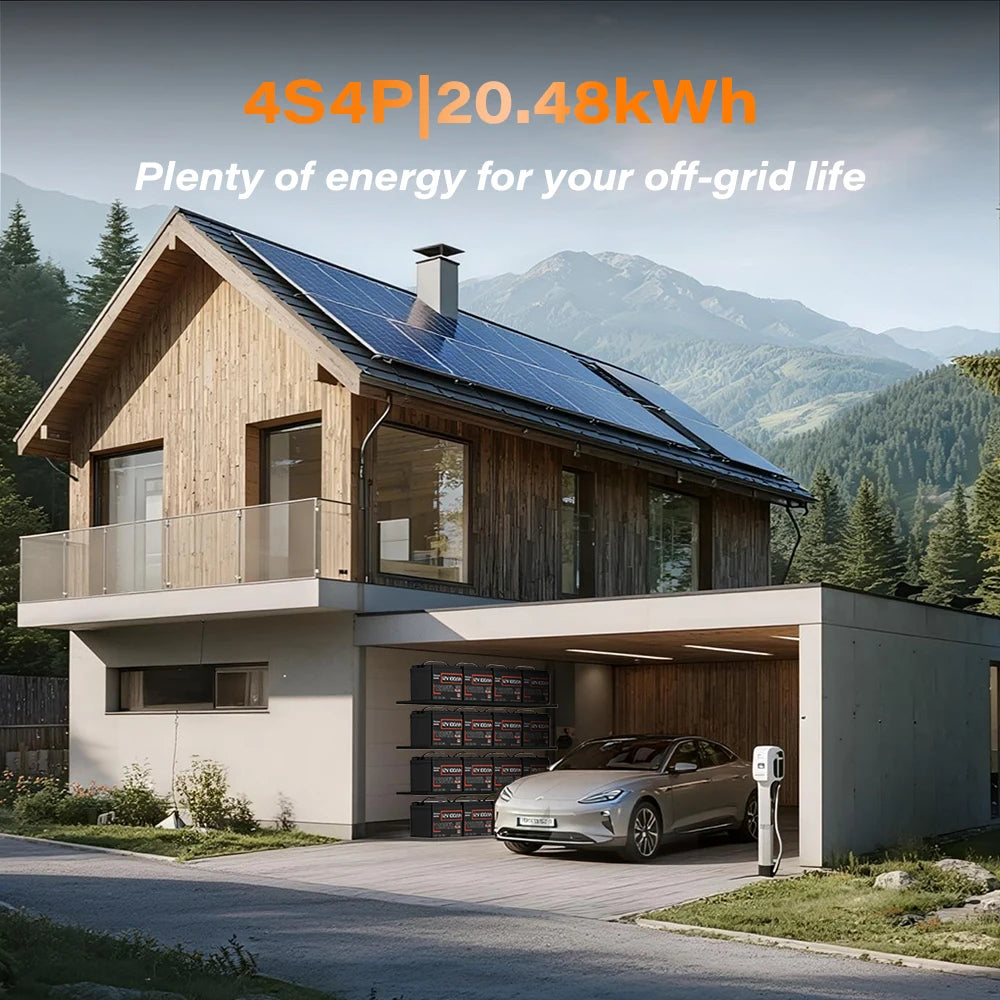 Humsienk LiFePO4 12V 100Ah MAX Battery With 100A BMS Portable