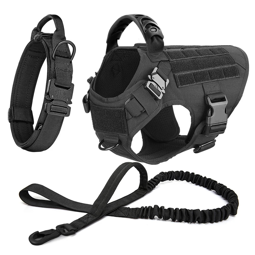 Petravelcn Dog Harness and Leash Set for Training and Walking