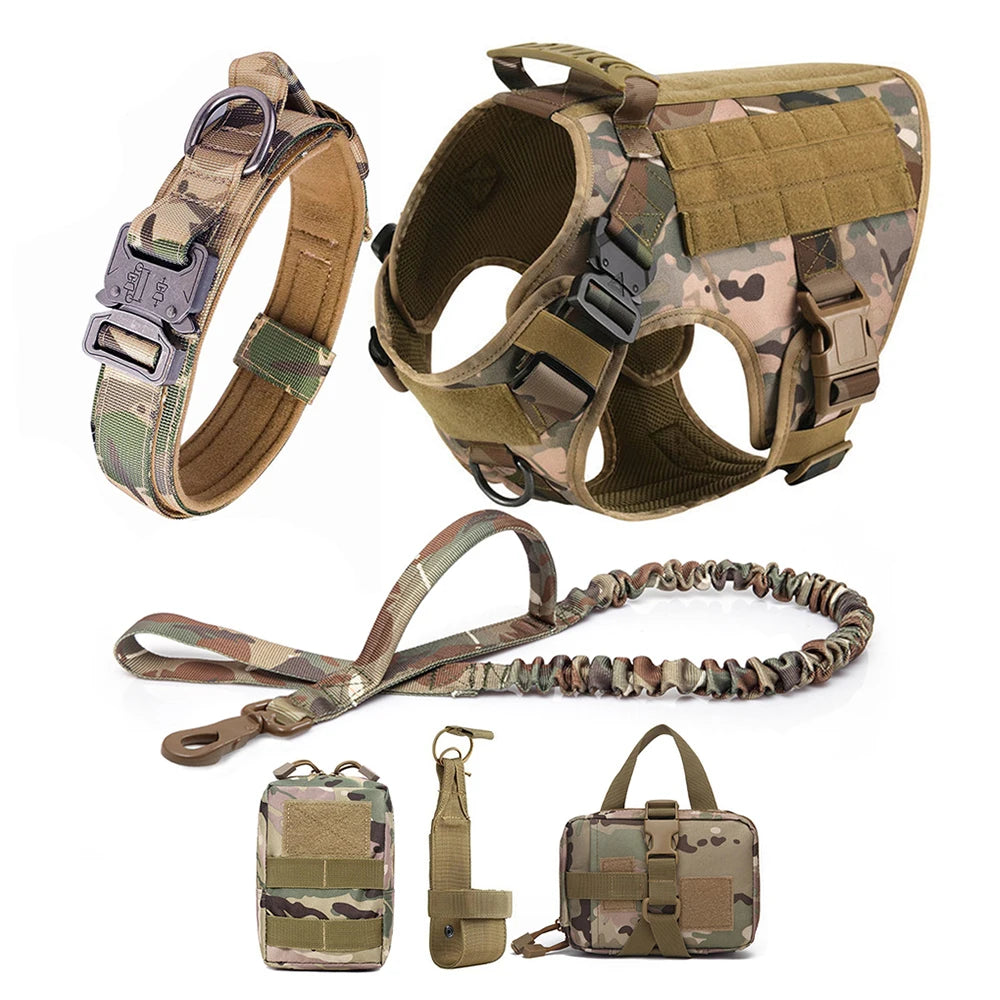 Petravelcn Dog Harness and Leash Set for Training and Walking