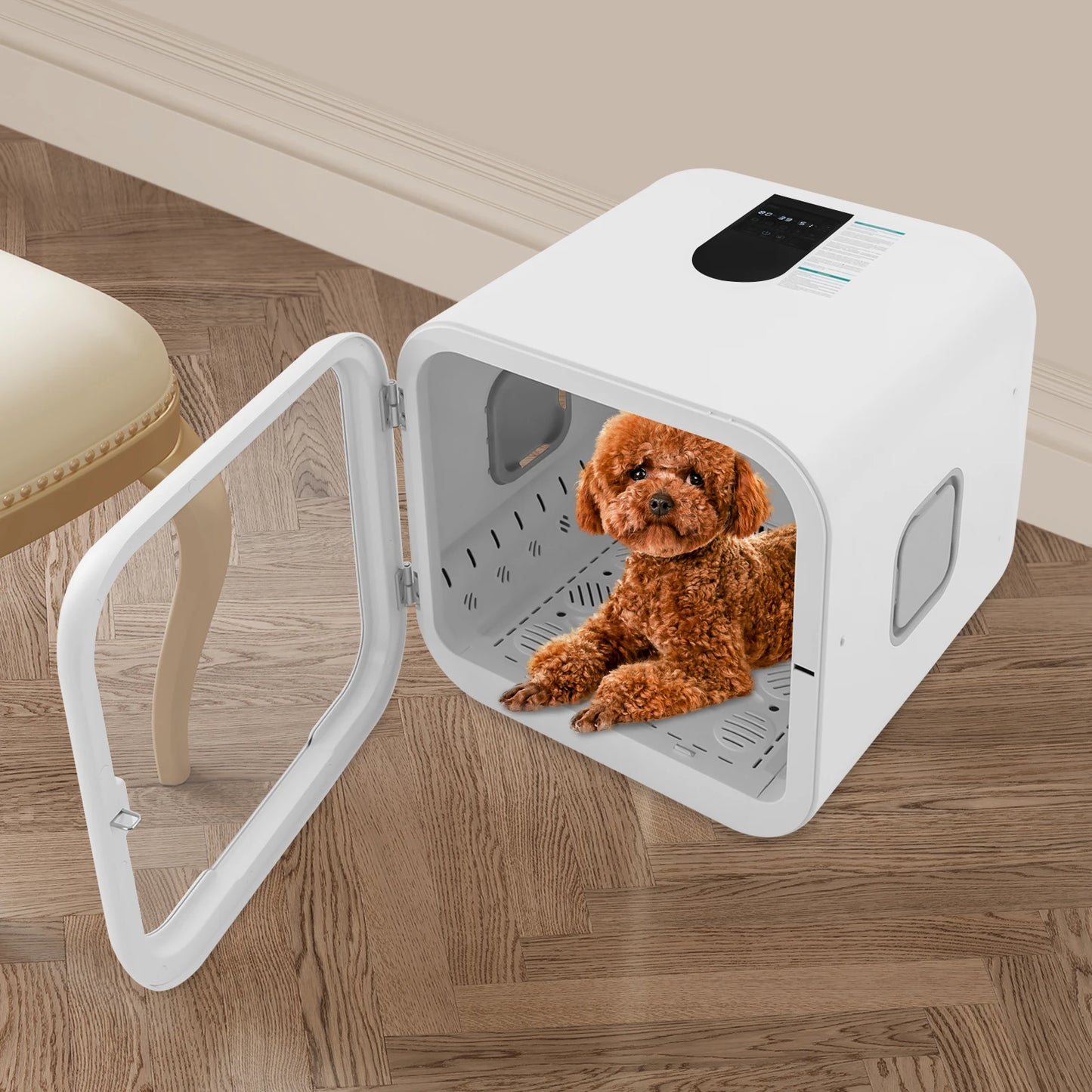 800W Pet Dryer Box For Professional Cat Grooming And Sanitizing