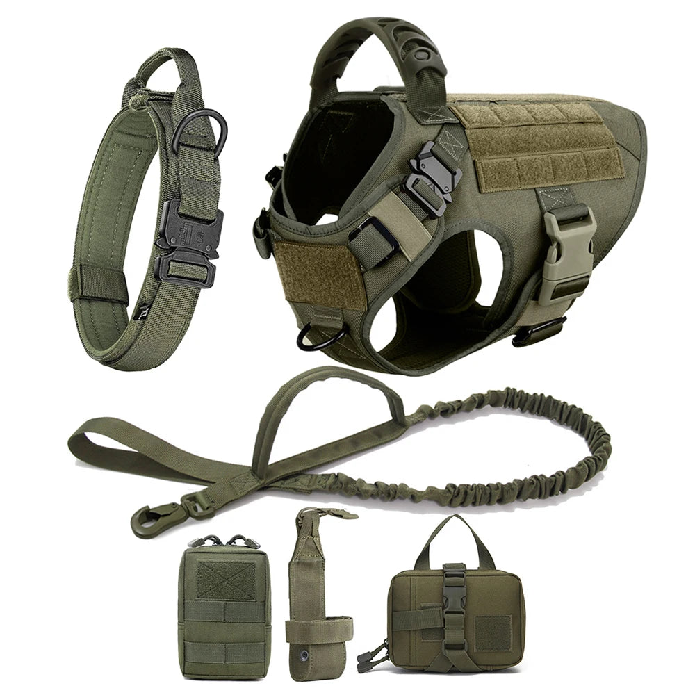 Petravelcn Dog Harness and Leash Set for Training and Walking