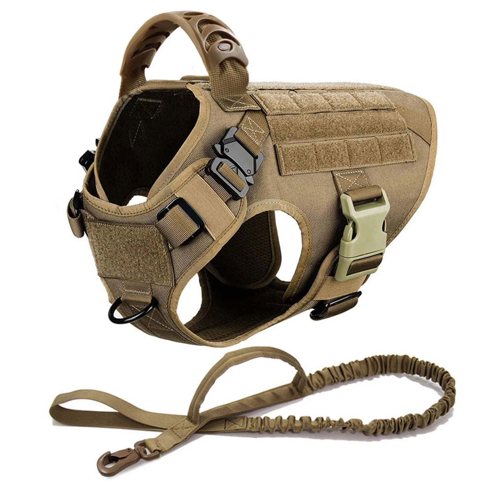 Petravelcn Dog Harness and Leash Set for Training and Walking