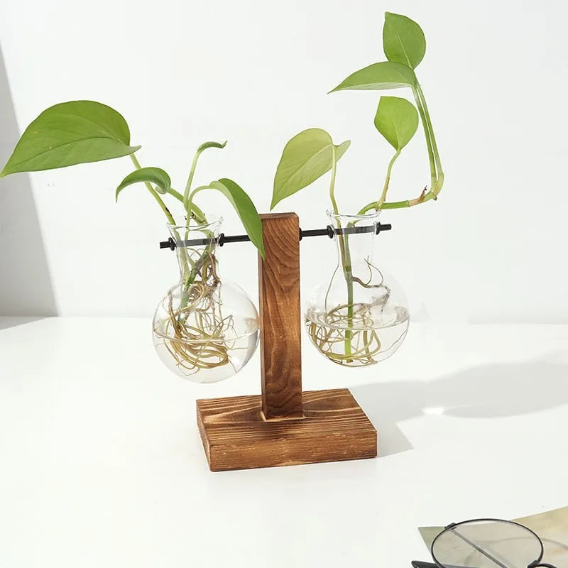 Wooden Frame Hydroponic Vase Transparent Glass Plant Pot For Home