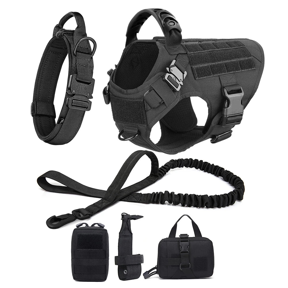 Petravelcn Dog Harness and Leash Set for Training and Walking