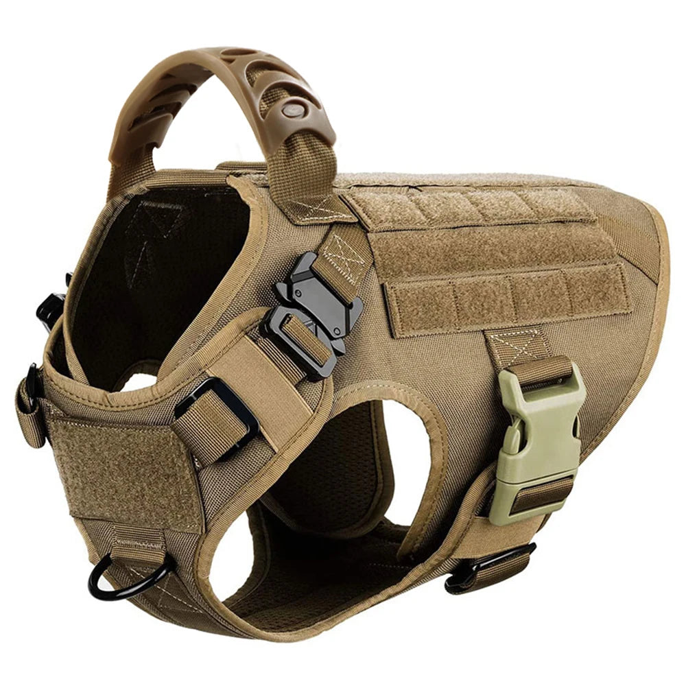 Petravelcn Dog Harness and Leash Set for Training and Walking