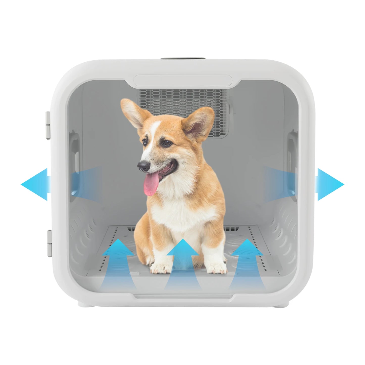 800W Pet Dryer Box For Professional Cat Grooming And Sanitizing
