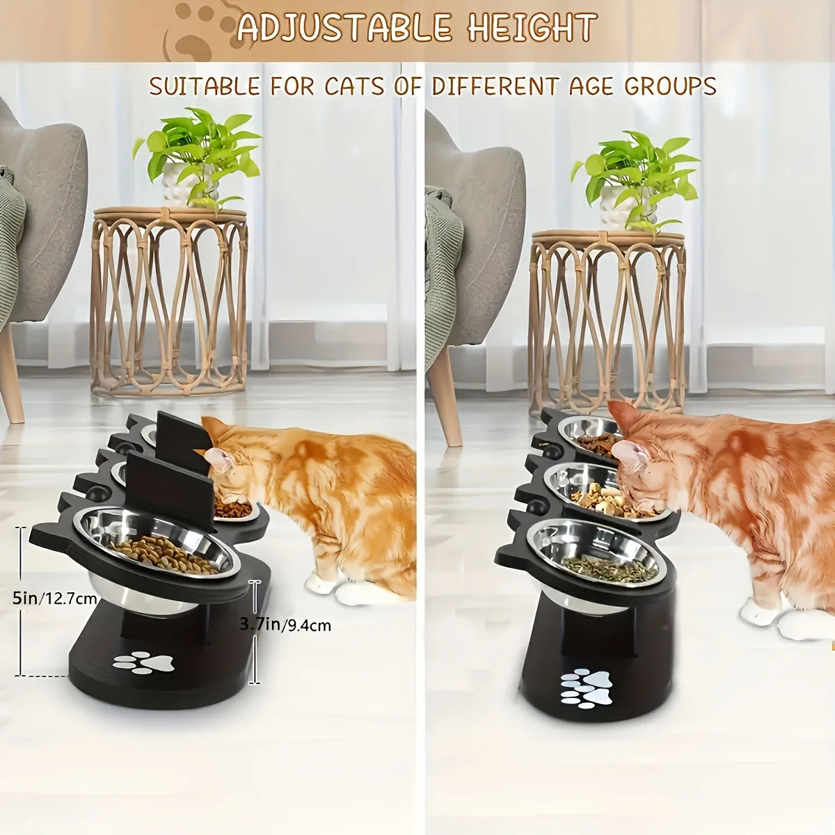 Elevated Cat Bowls Set 15 Degree Tilt With Wooden Stand