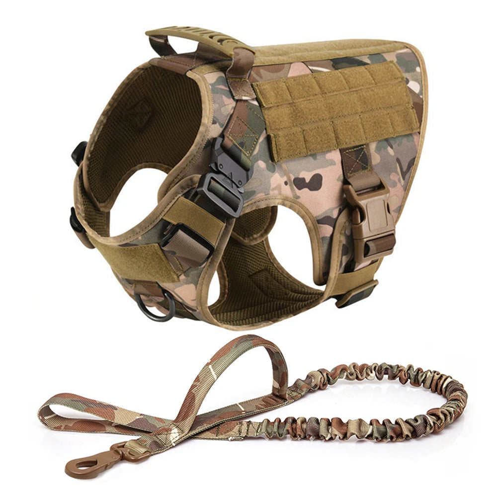 Petravelcn Dog Harness and Leash Set for Training and Walking