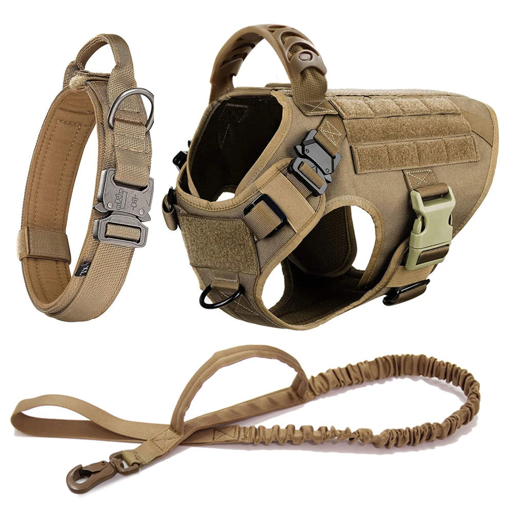 Petravelcn Dog Harness and Leash Set for Training and Walking