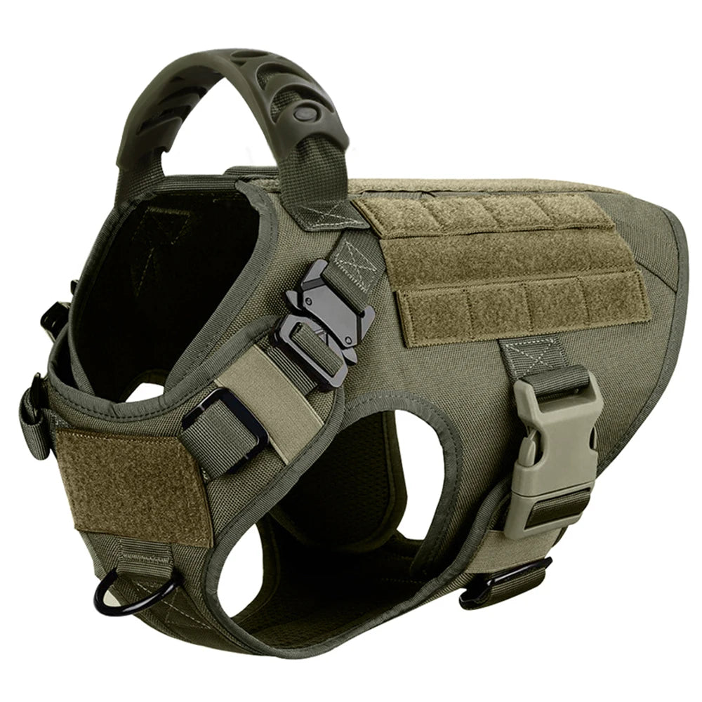 Petravelcn Dog Harness and Leash Set for Training and Walking