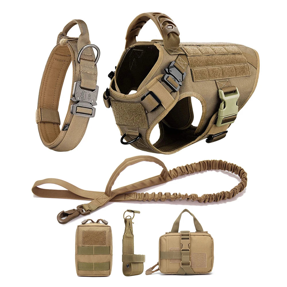 Petravelcn Dog Harness and Leash Set for Training and Walking