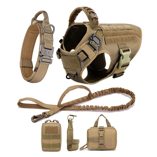 Petravelcn Dog Harness and Leash Set for Training and Walking