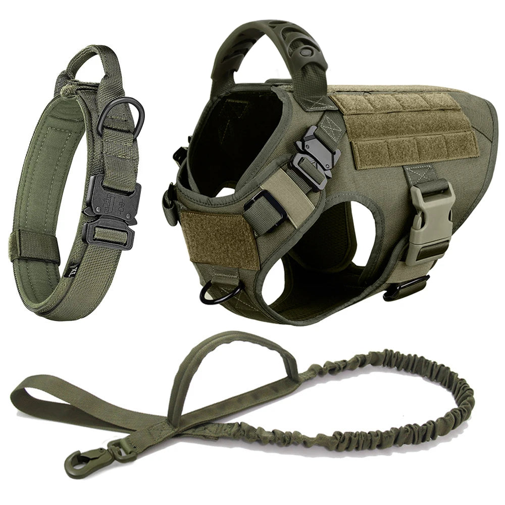 Petravelcn Dog Harness and Leash Set for Training and Walking